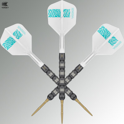 Target Steel Darts SWISS Point Rob Cross 95K 95% Tungsten Steeltip Dart Steeldart