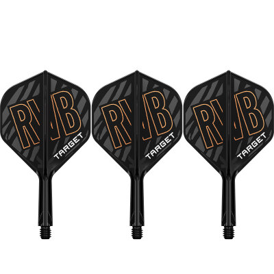 Target Dart K-Flex Flight- Schaftsystem Raymond van Barneveld patentierten Twist-System im RVB Design Standard Nr.2 S Kurz