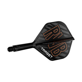 Target Dart K-Flex Flight- Schaftsystem Raymond van Barneveld patentierten Twist-System im RVB Design Standard Nr.2 S Kurz
