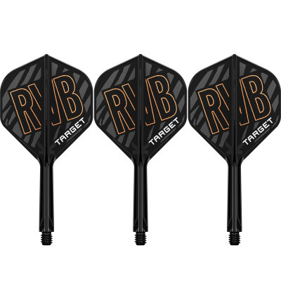 Target Dart K-Flex Flight- Schaftsystem Raymond van Barneveld patentierten Twist-System im RVB Design Standard Nr.2 IM Intermediate