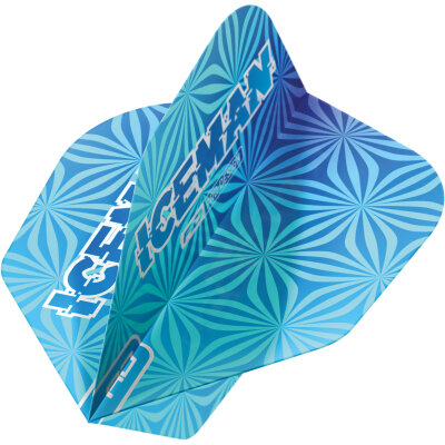 Red Dragon Gerwyn Price The Iceman Hardcore Standard Dart Flight Neuheit 2024 verschiedene Designs