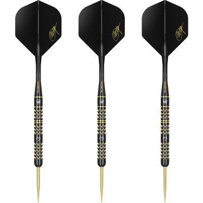 Winmau Steel Darts MvG Michael van Gerwen 5-Jahres-Jubil�ums-Dart Limited Edition 95% Tungsten Steeltip Dart Steeldart