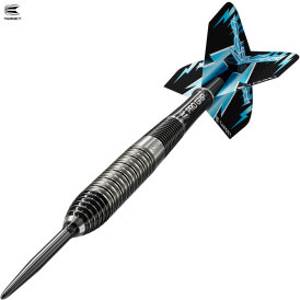 Target Steel Darts SWISS Point Phil Taylor Power 8Zero 2 80% Tungsten Steeltip Darts Steeldart 24 g