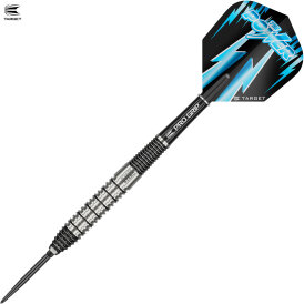 Target Steel Darts SWISS Point Phil Taylor Power 8Zero 2 80% Tungsten Steeltip Darts Steeldart 24 g