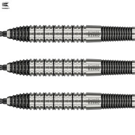 Target Steel Darts SWISS Point Phil Taylor Power 8Zero 2 80% Tungsten Steeltip Darts Steeldart 24 g