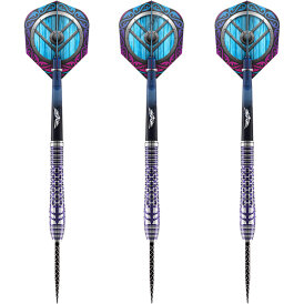 "Leicht bespielt" - Shot Steel Dart Viking...