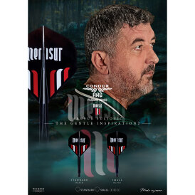 Condor Dart Flights Shafts AXE Mensur Suljovic The Gentle Inspiration 2 - 2 in1 Schaft-Flights-System Standard Nr.2 S Kurz