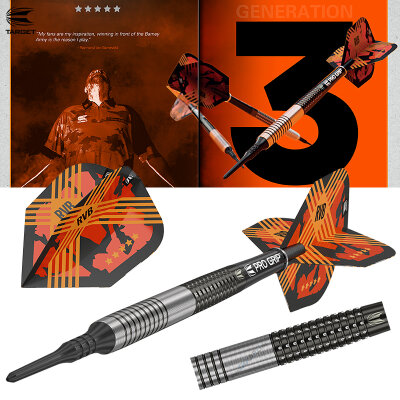 Target Soft Darts Raymond van Barneveld RVB G3 Generation 3 95% Tungsten Softtip Dart Softdart 20 g / leicht bespielt