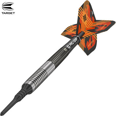 Target Soft Darts Raymond van Barneveld RVB G3 Generation 3 95% Tungsten Softtip Dart Softdart 20 g / leicht bespielt