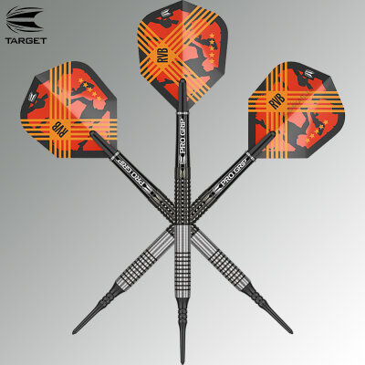Target Soft Darts Raymond van Barneveld RVB G3 Generation 3 95% Tungsten Softtip Dart Softdart 20 g / leicht bespielt