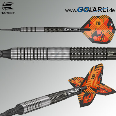 Target Soft Darts Raymond van Barneveld RVB G3 Generation 3 95% Tungsten Softtip Dart Softdart 20 g / leicht bespielt