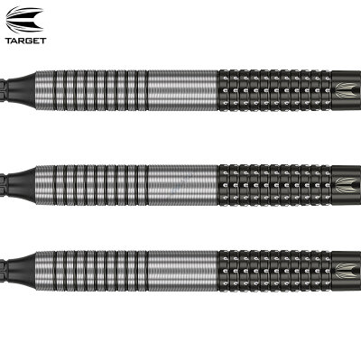 Target Soft Darts Raymond van Barneveld RVB G3 Generation 3 95% Tungsten Softtip Dart Softdart 20 g / leicht bespielt