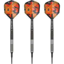 "Leicht bespielt" - Target Soft Darts Raymond...