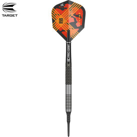 "Leicht bespielt" - Target Soft Darts Raymond van Barneveld RVB G3 Generation 3 95% Tungsten Softtip Dart Softdart 20 g