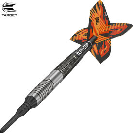 "Leicht bespielt" - Target Soft Darts Raymond van Barneveld RVB G3 Generation 3 95% Tungsten Softtip Dart Softdart 20 g