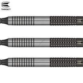 "Leicht bespielt" - Target Soft Darts Raymond van Barneveld RVB G3 Generation 3 95% Tungsten Softtip Dart Softdart 20 g