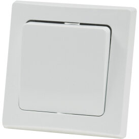 DELPHI Wechsel-Schalter, UP, 250V~/ 10A, inkl. Rahmen, Steckanschluss, weiß