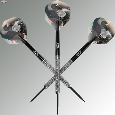 BULLS NL Steel Darts Mercurius Ava 90% Tungsten Steeltip Darts Steeldart