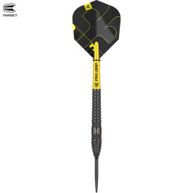 "Leicht bespielt" - Target Steel Darts Bolide VOID 03 SWISS Point 90% Tungsten Steeltip Darts Steeldart 22 g