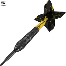 "Leicht bespielt" - Target Steel Darts Bolide VOID 03 SWISS Point 90% Tungsten Steeltip Darts Steeldart 22 g