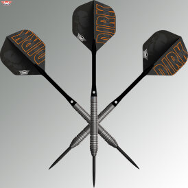 "Leicht bespielt" - BULLS NL Steel Darts Dirk van Duijvenbode E2 80% Tungsten Steeltip Darts Steeldart 22 g