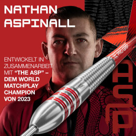 Target Steel Darts Nathan Aspinall The Asp Brass komplett Dartset Steeltip Darts Steeldart 22 g