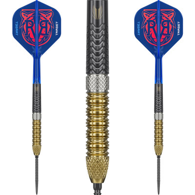 Target Steel Darts SWISS Point Raymond van Barneveld RVB GEN 6 Generation 6 95% Tungsten Steeltip Dart Steeldart 23 g