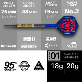 Target Soft Darts Raymond van Barneveld RVB GEN 6 Generation 6 95% Tungsten Softtip Dart Softdart 20 g