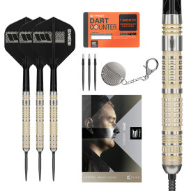 Target Steel Darts SWISS Point Dimitri van den Bergh 95K 95% Tungsten Steeltip Steeldart 23 g