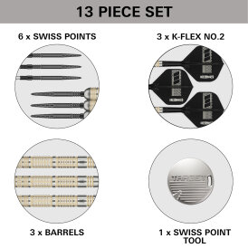 Target Steel Darts SWISS Point Dimitri van den Bergh 95K 95% Tungsten Steeltip Steeldart 24 g
