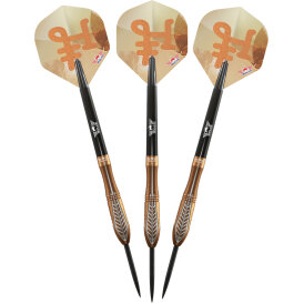 BULLS NL Steel Darts Bronzo Nova 90% Tungsten Steeltip Darts Steeldart 24 g
