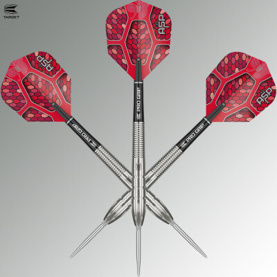 Target Steel Darts SWISS Point Nathan Aspinall The Asp G1 90% Tungsten Steeltip Darts Steeldart 24 g / leicht bespielt