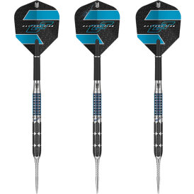 "Moderat bespielt" - Target Steel Darts Daytona...