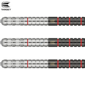 Target Steel Darts Danny Lauby Gen 1 Generation 1 90% Tungsten Steeltip Dart Steeldart 22 g / leicht bespielt