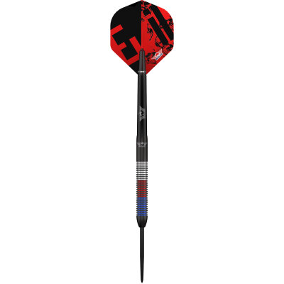 BULLS NL Steel Darts Karel Sedlacek Evil Charlie E2 Matchdart 90% Tungsten Steeltip Darts Steeldart