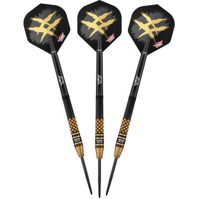 BULLS NL Steel Darts Richard Veenstra Flyers E2 90% Tungsten Steeltip Darts Steeldart