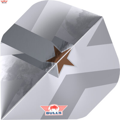 BULLS NL Player 100 Dartflight Max Hopp Maximiser E5 Nr.2 Flights Dartflight