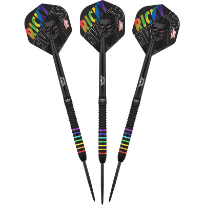 BULLS NL Steel Darts Ricky Evans The Rapid 95% Tungsten Steeltip Darts Steeldart