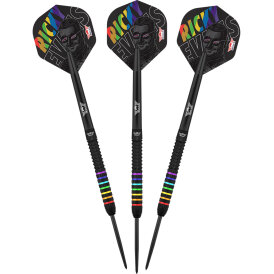 BULLS NL Steel Darts Ricky Evans The Rapid 95% Tungsten Steeltip Darts Steeldart