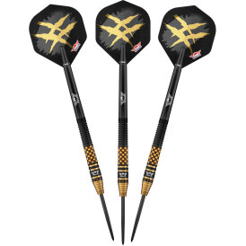 BULLS NL Steel Darts Richard Veenstra Flyers E2 90% Tungsten Steeltip Darts Steeldart 23 g