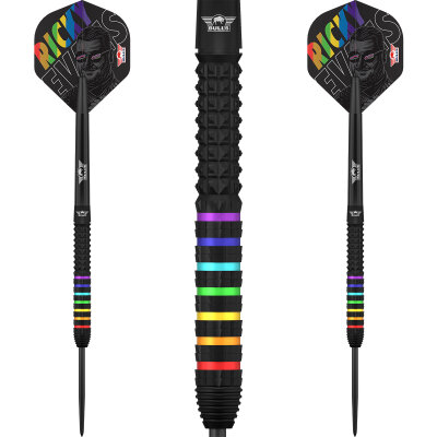 BULLS NL Steel Darts Ricky Evans The Rapid 95% Tungsten Steeltip Darts Steeldart 23 g