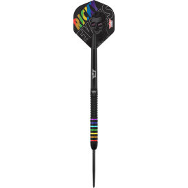 BULLS NL Steel Darts Ricky Evans The Rapid 95% Tungsten Steeltip Darts Steeldart 23 g