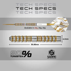 Red Dragon Steel Darts Paradym Gold Parallel Barrel 90% Tungsten Steeltip Dart Steeldart 22 g