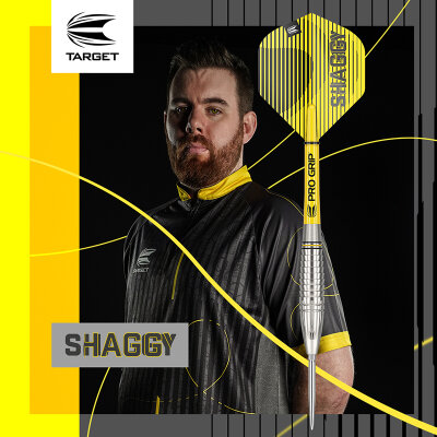 Target Steel Darts SWISS Point Scott Williams G1 90% Tungsten Steeltip Dart Steeldart 25 g / leicht bespielt