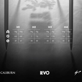 Caliburn Steel Darts EVO Point Hunt H1 90% Tungsten Steeltip Dart Steeldart 21 g