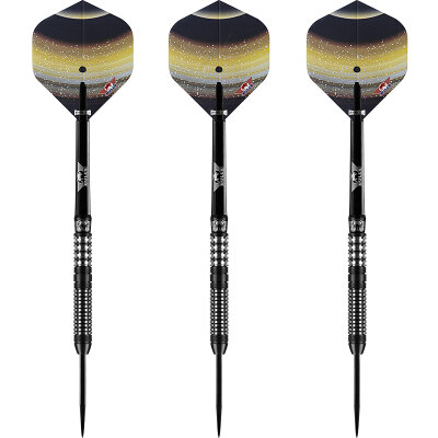"Leicht bespielt" - BULLS NL Steel Darts Luna Neoma 90% Tungsten Steeltip Darts Steeldart 24 g