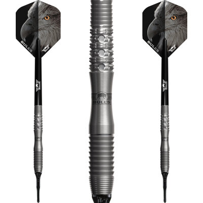 "Leicht bespielt" - BULLS NL Soft Darts Eagle 3 90% Tungsten Softtip Darts Softdart 20 g