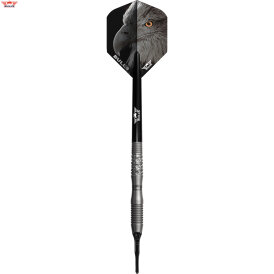 "Leicht bespielt" - BULLS NL Soft Darts Eagle 3 90% Tungsten Softtip Darts Softdart 20 g