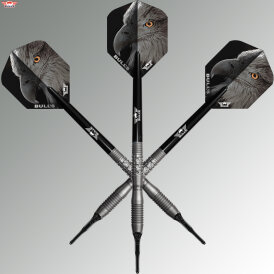 "Leicht bespielt" - BULLS NL Soft Darts Eagle 3 90% Tungsten Softtip Darts Softdart 20 g