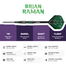 BULLS Steel Darts Brian Raman G2 The Riddler 90% Tungsten Steel Dart Steeldart Steeltip 22 g